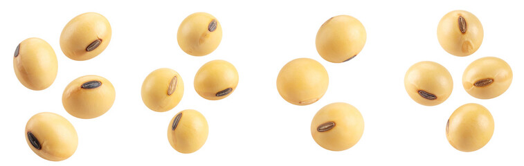Soybean seeds falling on transparent background