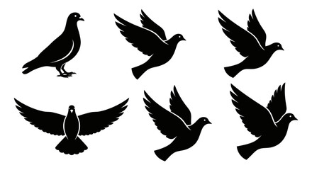Obraz premium Silhouetted doves in various poses against a white background showcasing flight and standing positions