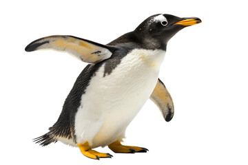 Obraz premium A curious Gentoo penguin with its flippers raised, captured in a detailed 3D illustration, showcasing its unique side profile and vibrant markings.