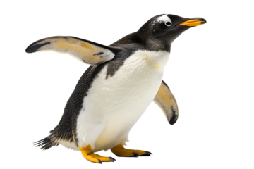 A curious Gentoo penguin with its flippers raised, captured in a detailed 3D illustration, showcasing its unique side profile and vibrant markings.