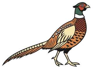 Illustration of a male ring necked pheasant standing with a long tail and colorful plumage design created with generated ai
