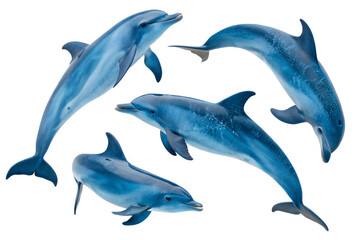 Fototapeta premium Four Dolphins Swimming Gracefully A 3D Rendering of Ocean Wildlife, Marine Mammals in Motion, Aquatic Animals, Wildlife Illustration