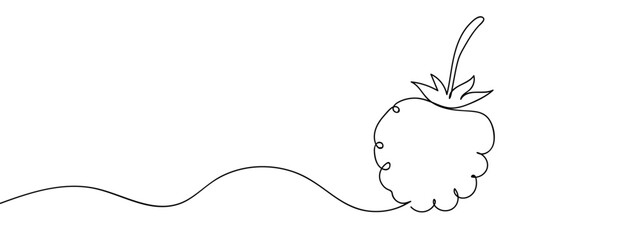 Simple hand drawn continuous vector line of raspberry isolated on transparent background. stroke editable