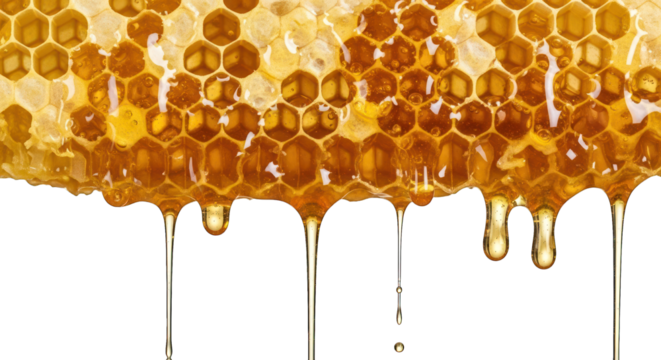 Honeycomb drips. Golden sweet pattern against black, natural food