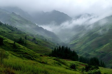 Fototapeta premium Dramatic Terraced Agriculture Scene with Mountain Vistas 