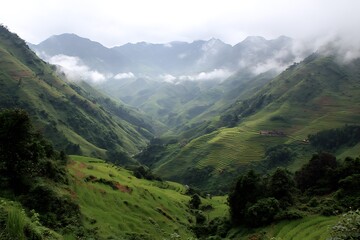Fototapeta premium Layered Rice Terraces Under Blanket of Morning Mist 