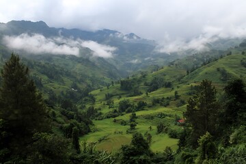 Naklejka premium Misty Peaks Overlooking Green Terraced Fields 