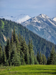 Scenic Mountain Range with Forested Landscape and Snow-Capped Peaks