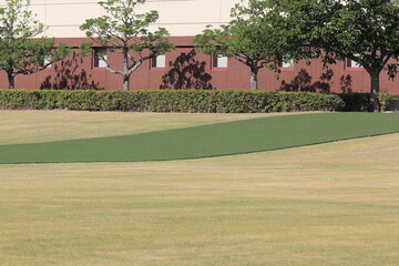 芝生と建物に映る樹木の影