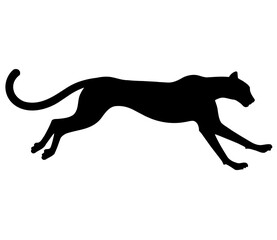 Cheetah in Full Sprint Silhouette