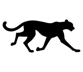 Cheetah in Full Sprint Silhouette