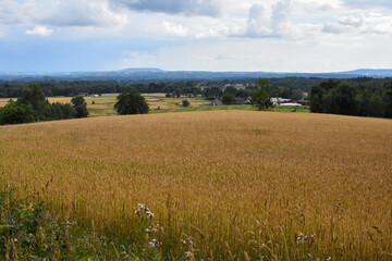 Fototapeta premium Lanscape view of fields and mountain in Sweden