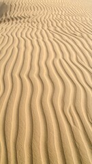 Fototapeta premium Close-up view of windswept desert sand