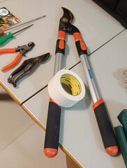 Tipos de ferramentas usadaem podas de arvores frutiferas