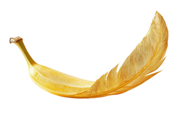 Surreal banana peel transforming into a golden feathered shape with elegant detail isolated on transparent background PNG