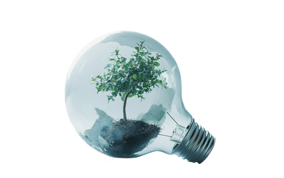 Creative concept of a shattered lightbulb nurturing a tiny green tree sprouting inside isolated on transparent background PNG
