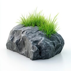Gray Rock with Green Grass Growing on Top Isolated