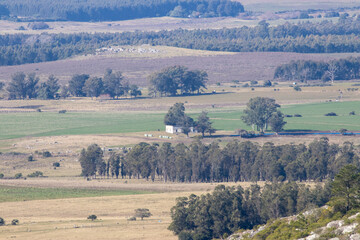 Fototapeta premium Paisaje campestre
