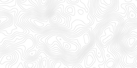 Topography background. Vector banner. Topography map background. Vector geographic contour map. Background of the topographic map. Topographic map lines, contour background. 