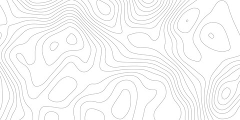 Topography background. Vector banner. Topography map background. Vector geographic contour map. Background of the topographic map. Topographic map lines, contour background. 