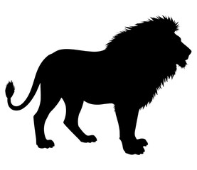 Majestic Lion Silhouette