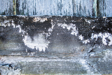 old water drops on the wood