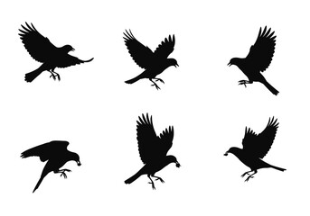 Obraz premium Set of Black Silhouette Birds in Flight Various Poses.