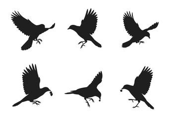 Obraz premium Bird Silhouettes in Flight and Perched with Food.