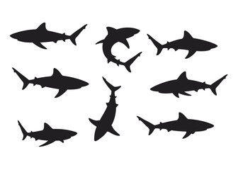 Fototapeta premium Shark Silhouettes: Marine Predators in Various Poses Black Vector Graphics.