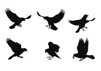 Obraz premium Silhouetted Birds in Flight: Dynamic Poses and Varied Wing Positions.