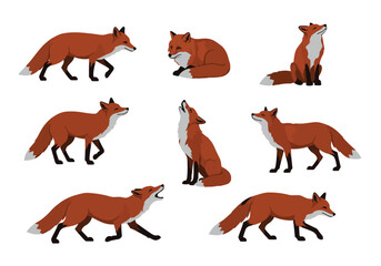 Obraz premium Collection of Cartoon Red Fox in Various Poses.