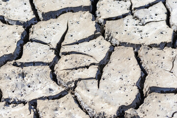 Dry cracked earth showing severe drought conditions