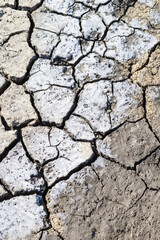 Dry cracked earth showing salt deposits from drought