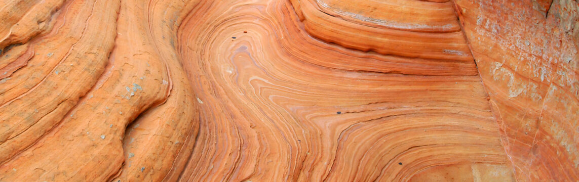 Close-up of Sandstone Swirls - Years and years of water and wind has created something beautiful - Powered by Adobe