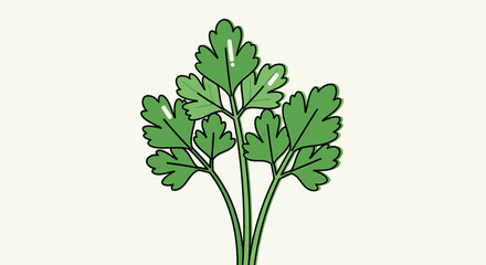 Fresh Parsley Leaves Graphic Illustration for Culinary and Recipe Designs