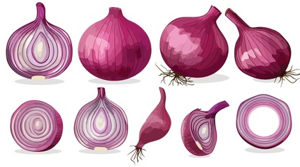 A set of red onions whole and sliced on white back