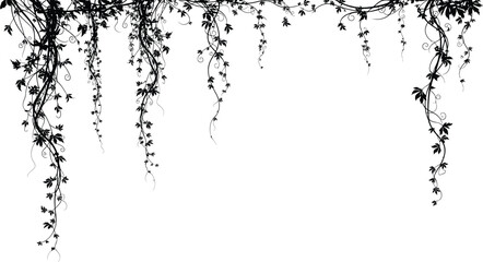 Vector art of a decorative ivy vine with hanging leaves creates a natural border, isolated on white background, perfect for adding a touch of organic elegance to designs