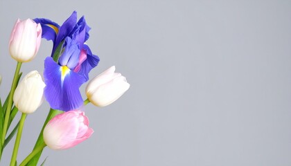 Vibrant Purple Iris And Colorful Tulips Bouquet Against Soft Grey Background