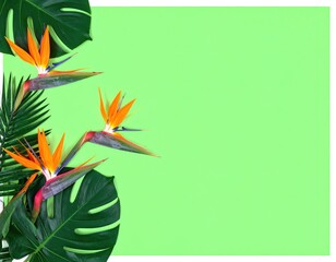 Vibrant Tropical Floral Arrangement Of Orange And Purple Heliconia Flowers And Green Monstera Leaves On Bright Green Background