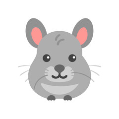 Cute Cartoon Chinchilla Vector Illustration on Black Background for Designs