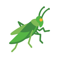 Green Grasshopper Illustration on Black Background, Insect Vector Graphic Design