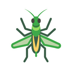 Green Grasshopper Insect Isolated on Black Background Vector Illustration