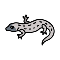 Simple Gecko Illustration on Black Background, Reptile with Spots