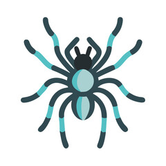 Stylized Cartoon Spider with Teal Stripes on a Black Background