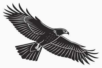 Fototapeta premium Hawk bird sihouette black vector