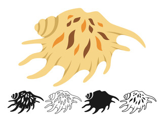 Sea shell symbol. Decorative beach marine underwater sign design element perfect for ocean designs and coastal tropical decor. Nautical, undersea or aquarium exotic seashell vector illustration