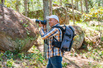 Photographer aiming through the viewfinder in a pine forest