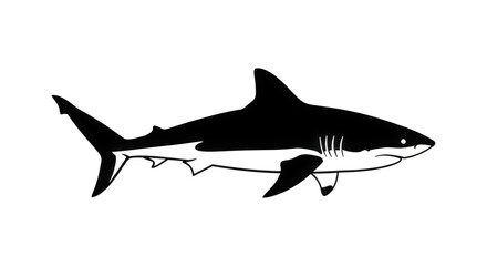 Fototapeta premium Majestic Silhouette of a Great White Shark Gliding Through Dark Ocean Waters