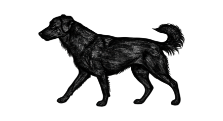 Abstract Digital Art of a Walking Dog Made From White Lines And Dots