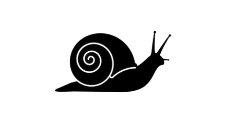 A small snail is slowly crawling along the ground